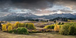 Bozman Montana